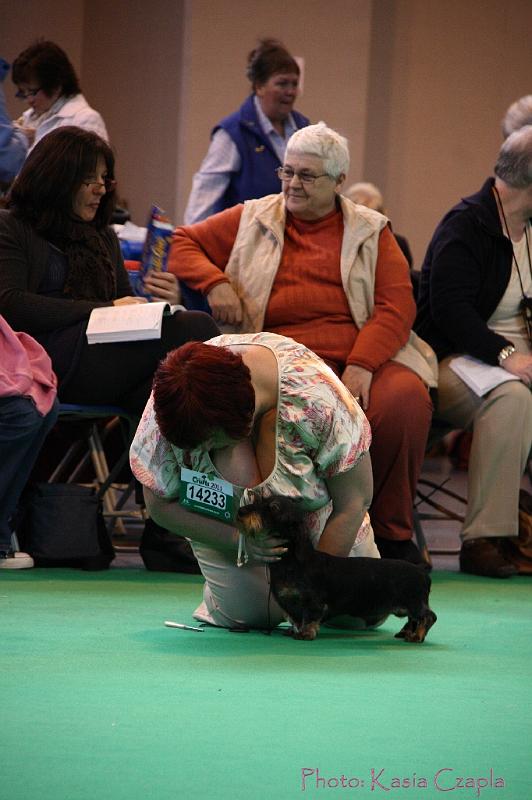 Crufts2011_2 536.jpg